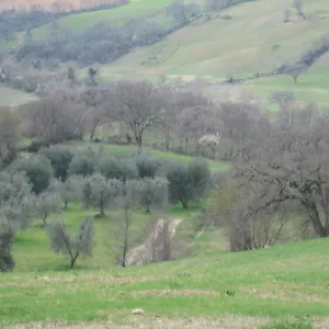Séjour à la ferme Casa Fibbianello 